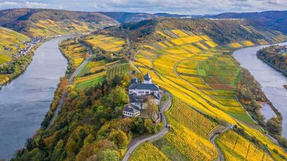 Herbst im Zeller Hamm