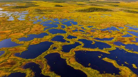 Martimoaapa-Moorreservat, Finnland