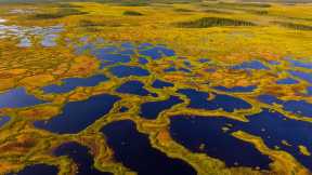 Martimoaapa Mire Reserve, Finland