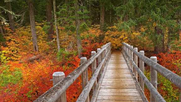 Willamette National Forest, Oregon