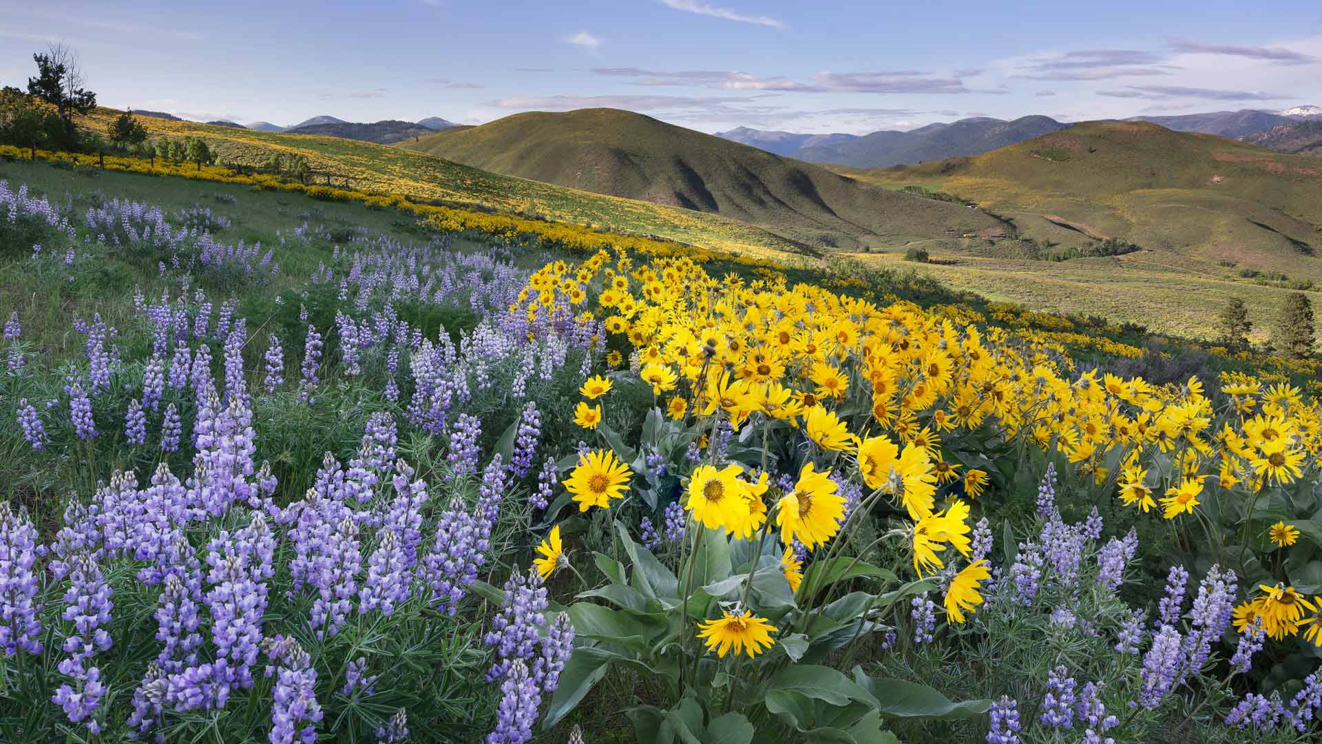 Bing HD Wallpaper May 26 2024 Methow Valley North Cascades Bing HD Wallpaper May 26 2024 Methow Valley North Cascades