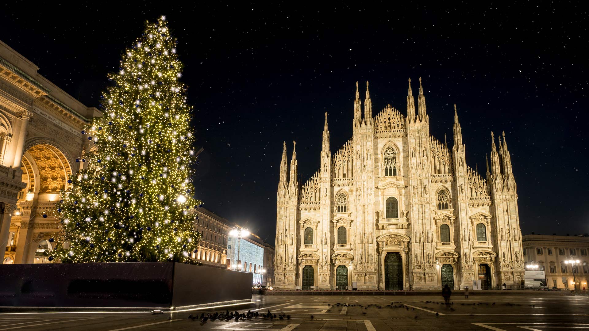 Una meraviglia di luci e colori