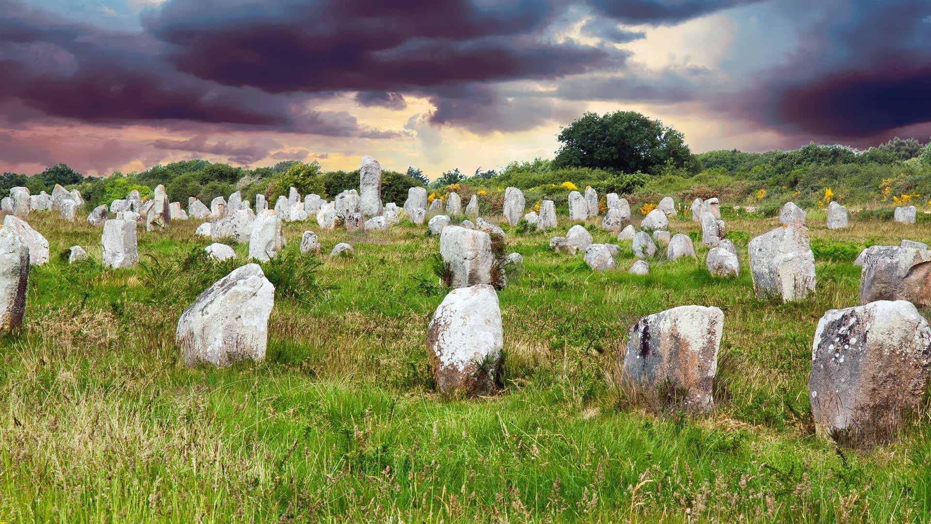 Des menhirs à perte de vue