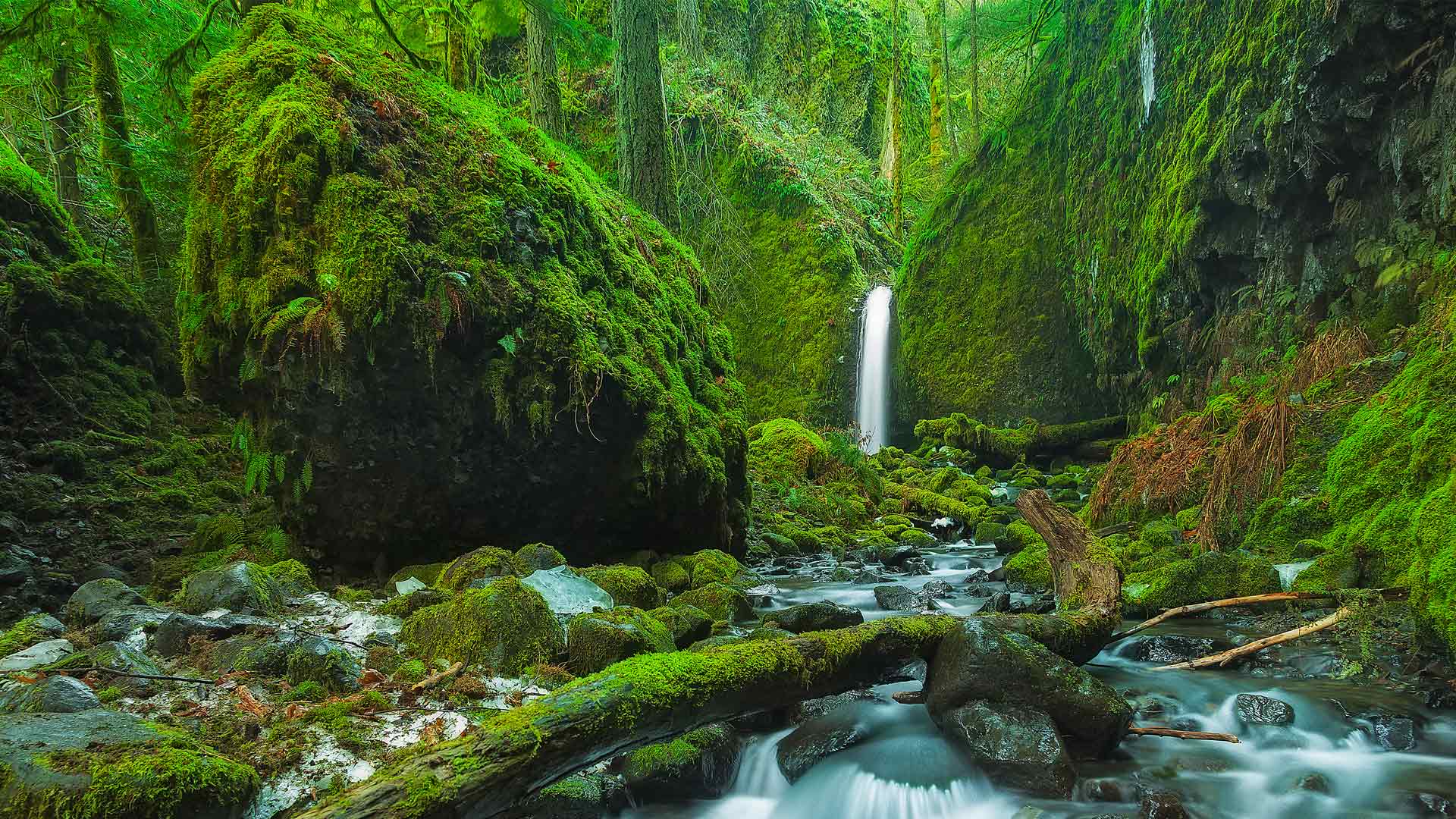 Bing HD Wallpaper Where Is This Hidden Waterfall Bing Wallpaper 