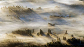 霧に包まれる渓谷