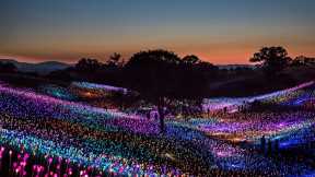  Field of Light at Sensorio  by Bruce Munro