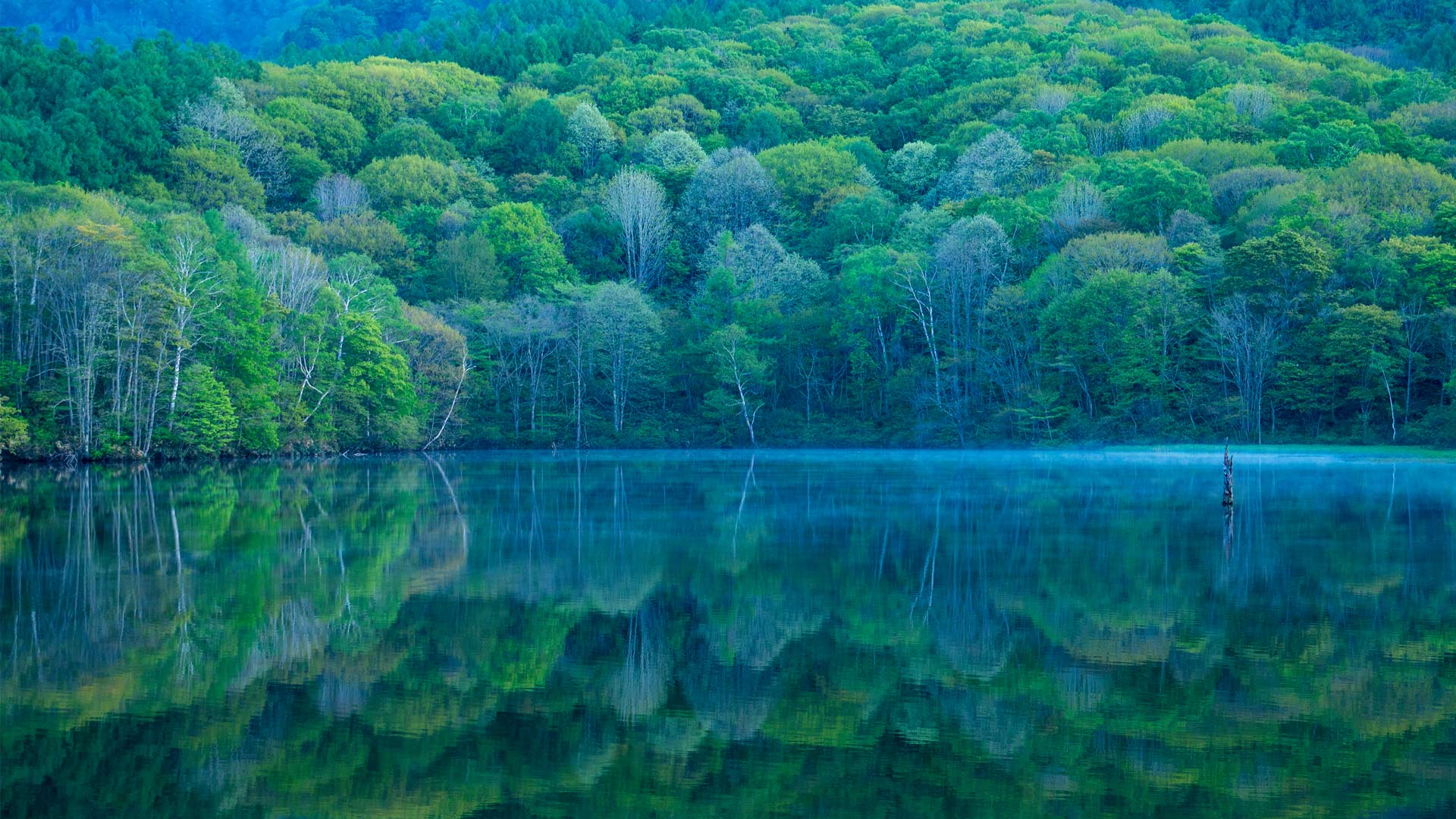 A mirror reflecting natures beauty