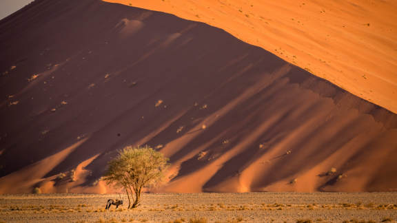 Bing Image: Sossusvlei Sand Dunes, Namib Desert, Namibia - Bing 