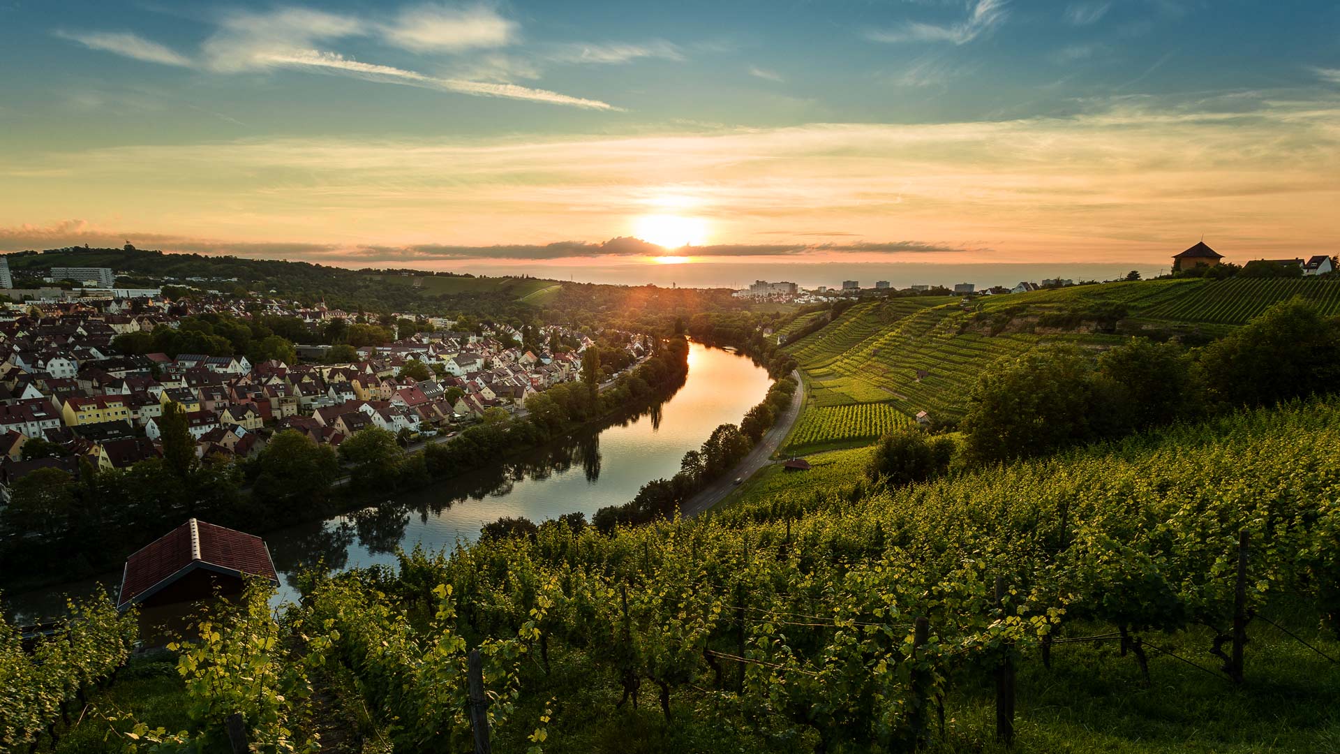 Weinberge im Neckartal bei Stuttgart, Baden‑W&uuml;rttemberg