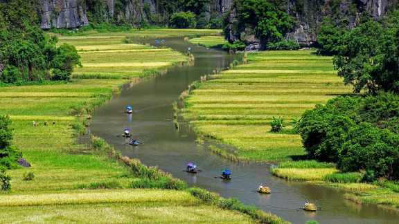 A river runs through rice fields