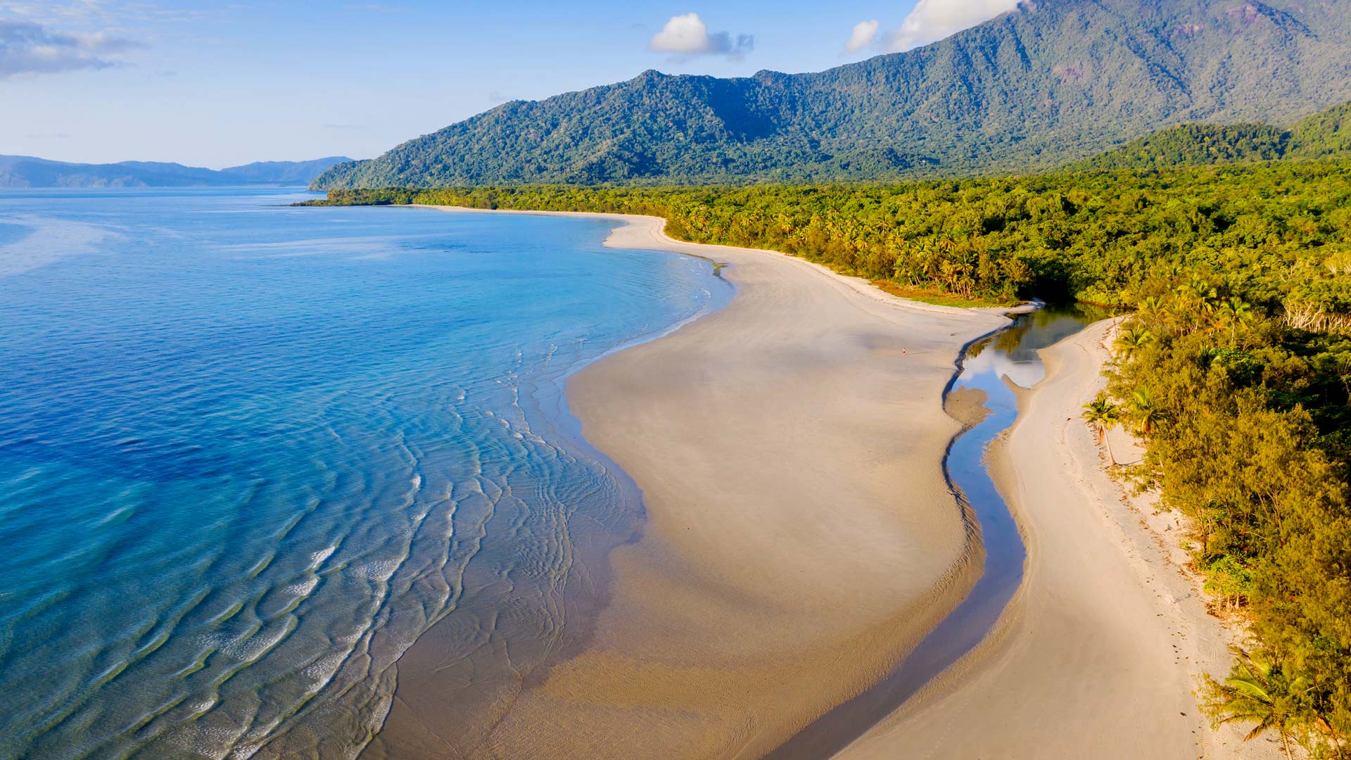 Bing image: Daintree Rainforest and Noah Beach, Queensland, Australia ...