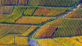 Les Nuits de Champagne