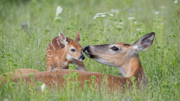 Buona festa della mamma!