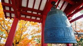 今日は大晦日