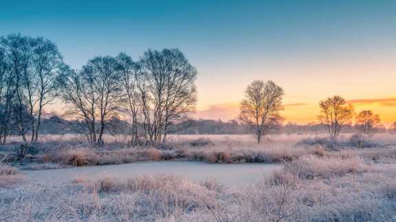 Schneebedecktes Feld, Ostfriesland, Niedersachsen