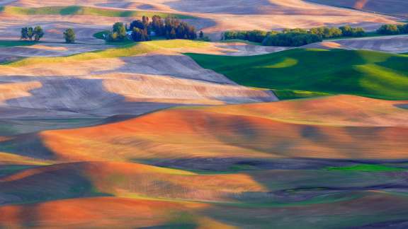 La région bucolique de la Palouse