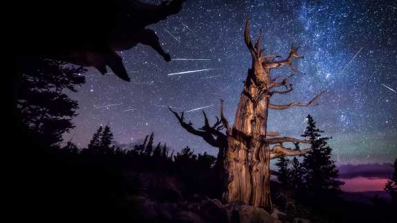 Great Basin National Park, Nevada, United States