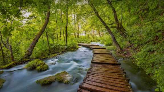 Boardwalk over Balkan lakes