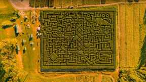 Corn maze in Saylorsburg, Pennsylvania
