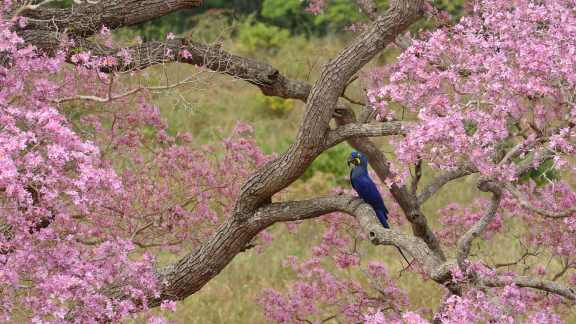 Bem-vinda, Primavera!