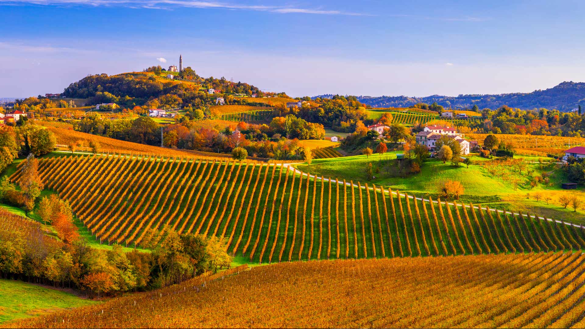 Bing image: Prosecco Hills, Veneto, Italy - Bing Wallpaper Gallery