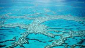 Great Barrier Reef from above, Queensland, Australia