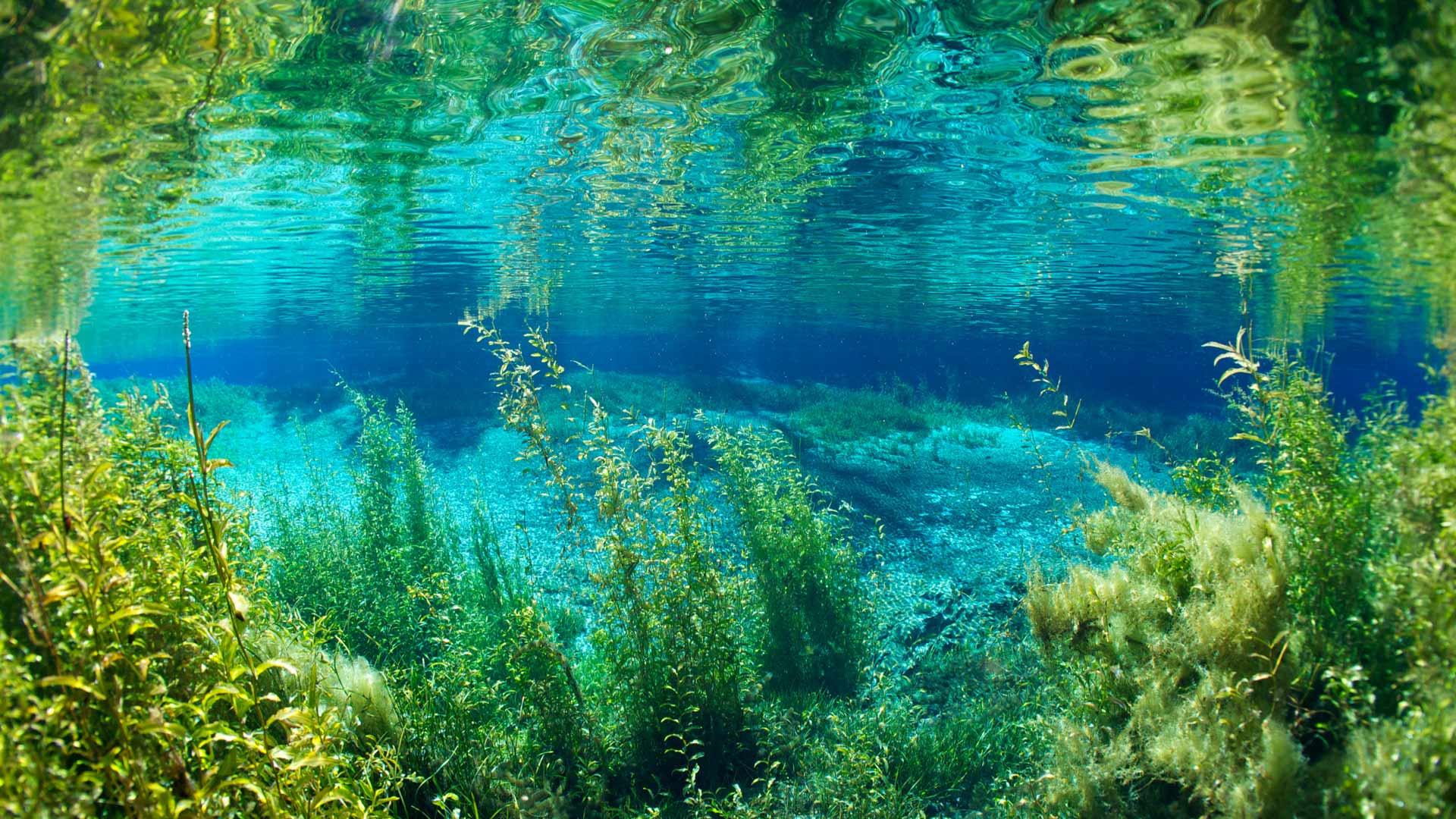 Bing Image As Transpar ncias Do Rainbow River Bing Wallpaper Gallery