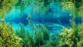 Rainbow River, Rainbow Springs State Park, Florida