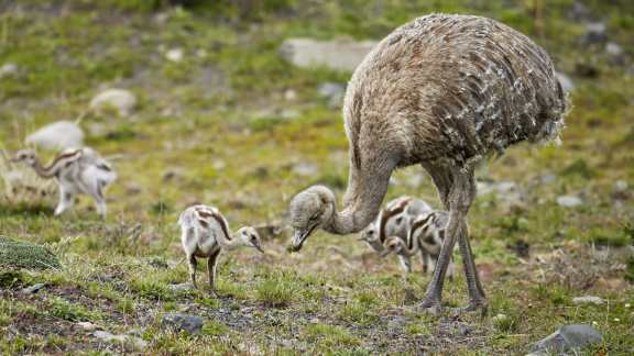 Happy Fathers Day!