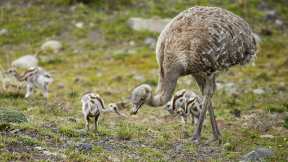 Happy Fathers Day!