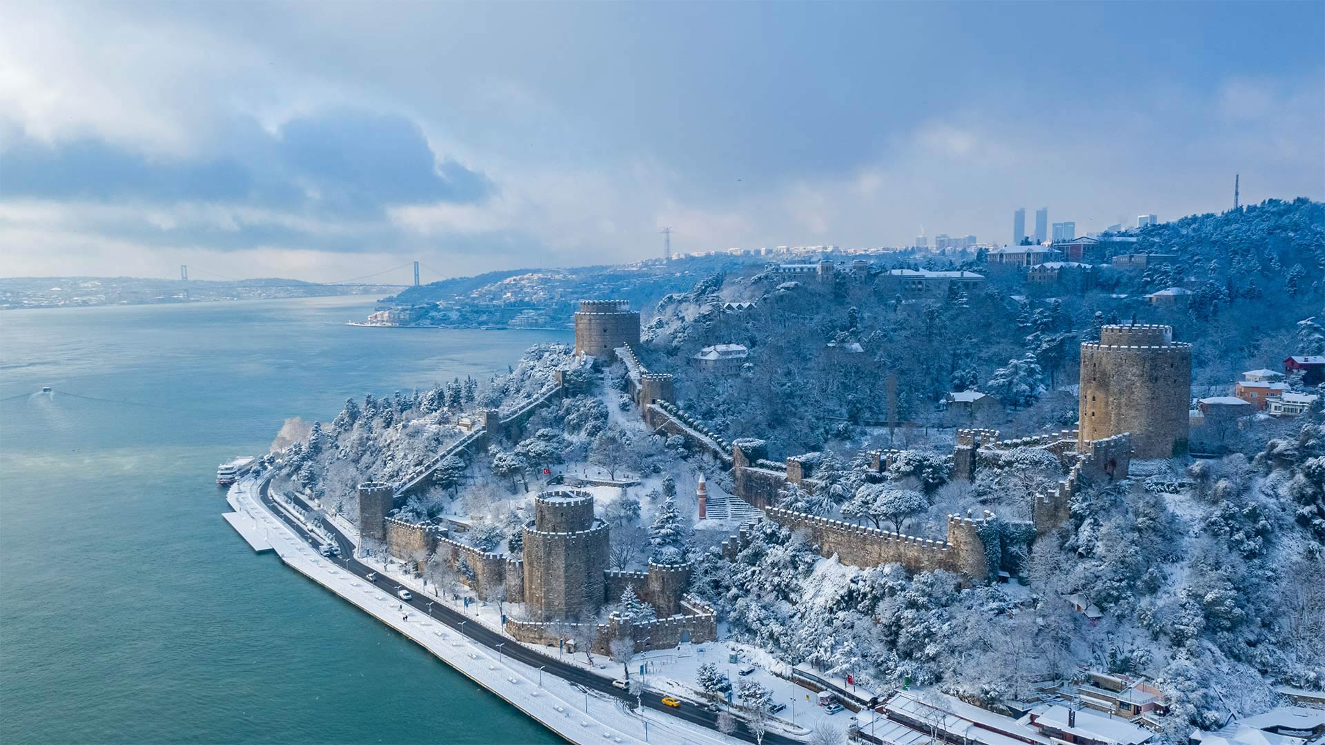 bing-hd-wallpaper-january-11-2023-bing-wallpaper-gallery