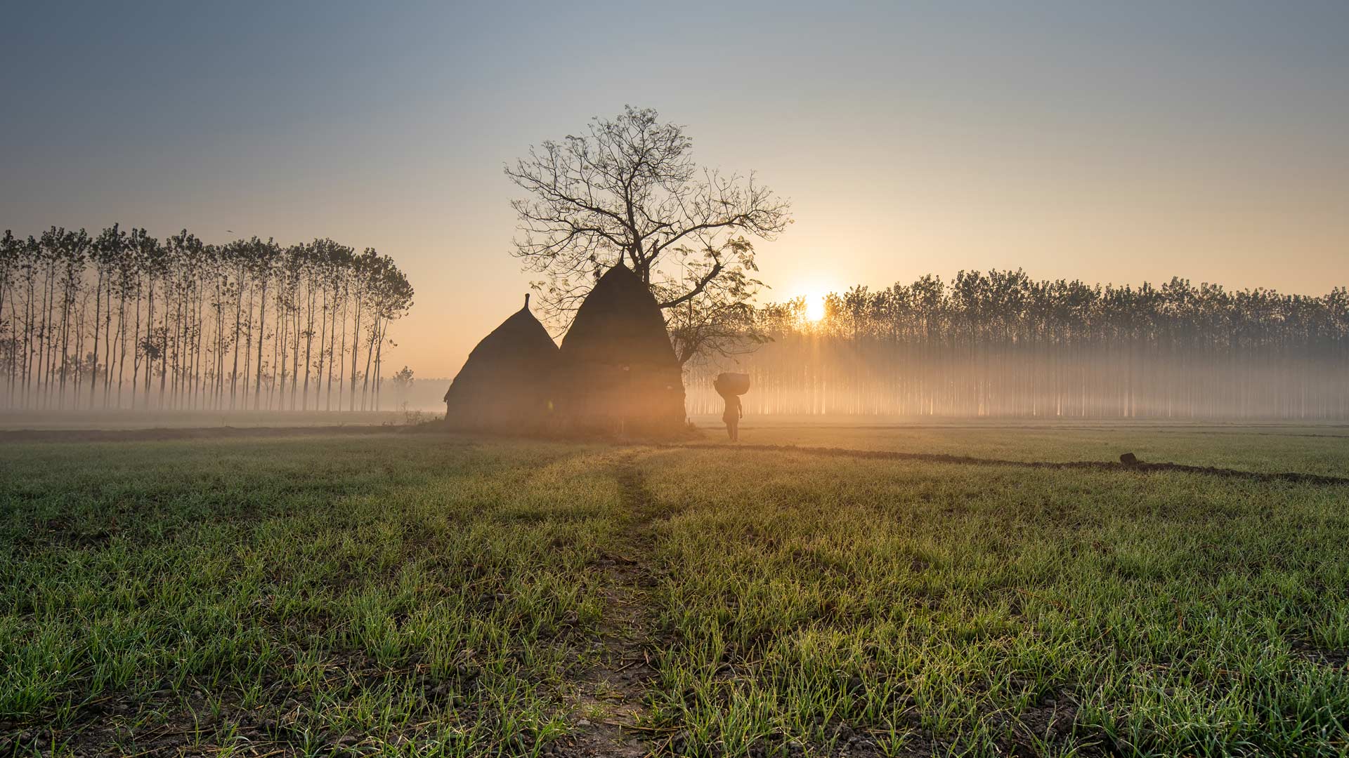 Bing HD Wallpaper The Harmony Between Land And Sun Bing Wallpaper bing-hd-wallpaper-the-harmony-between-land-and-sun-bing-wallpaper
