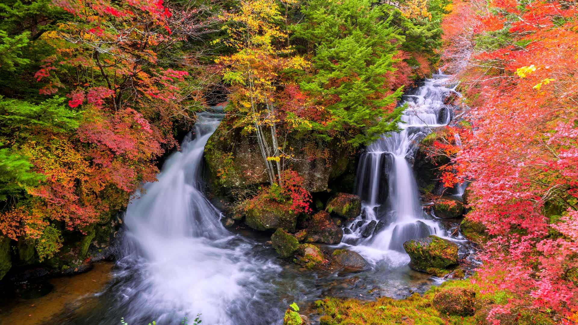今日は寒露