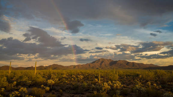 National Find a Rainbow Day