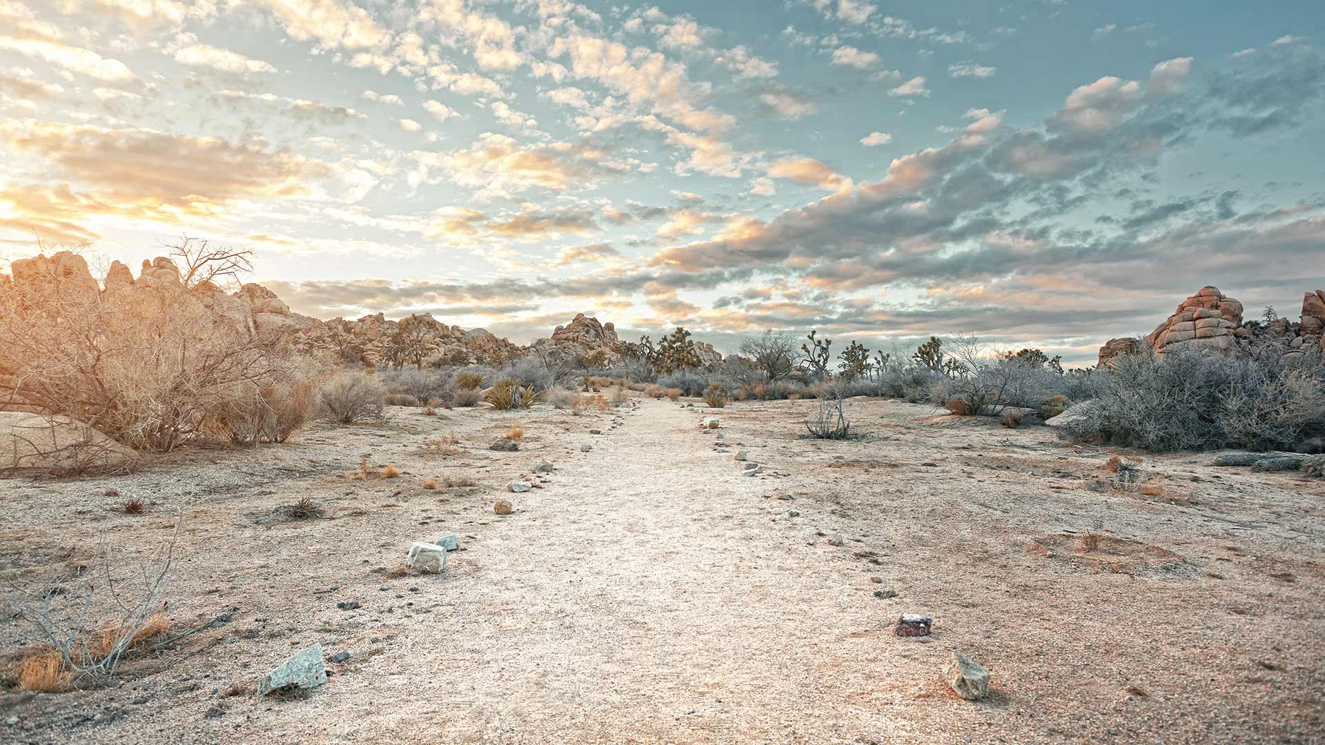Joshua Tree National Park in California, United States
