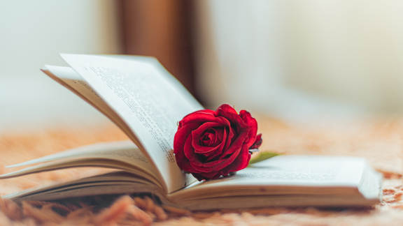 D&iacute;a de Sant Jordi