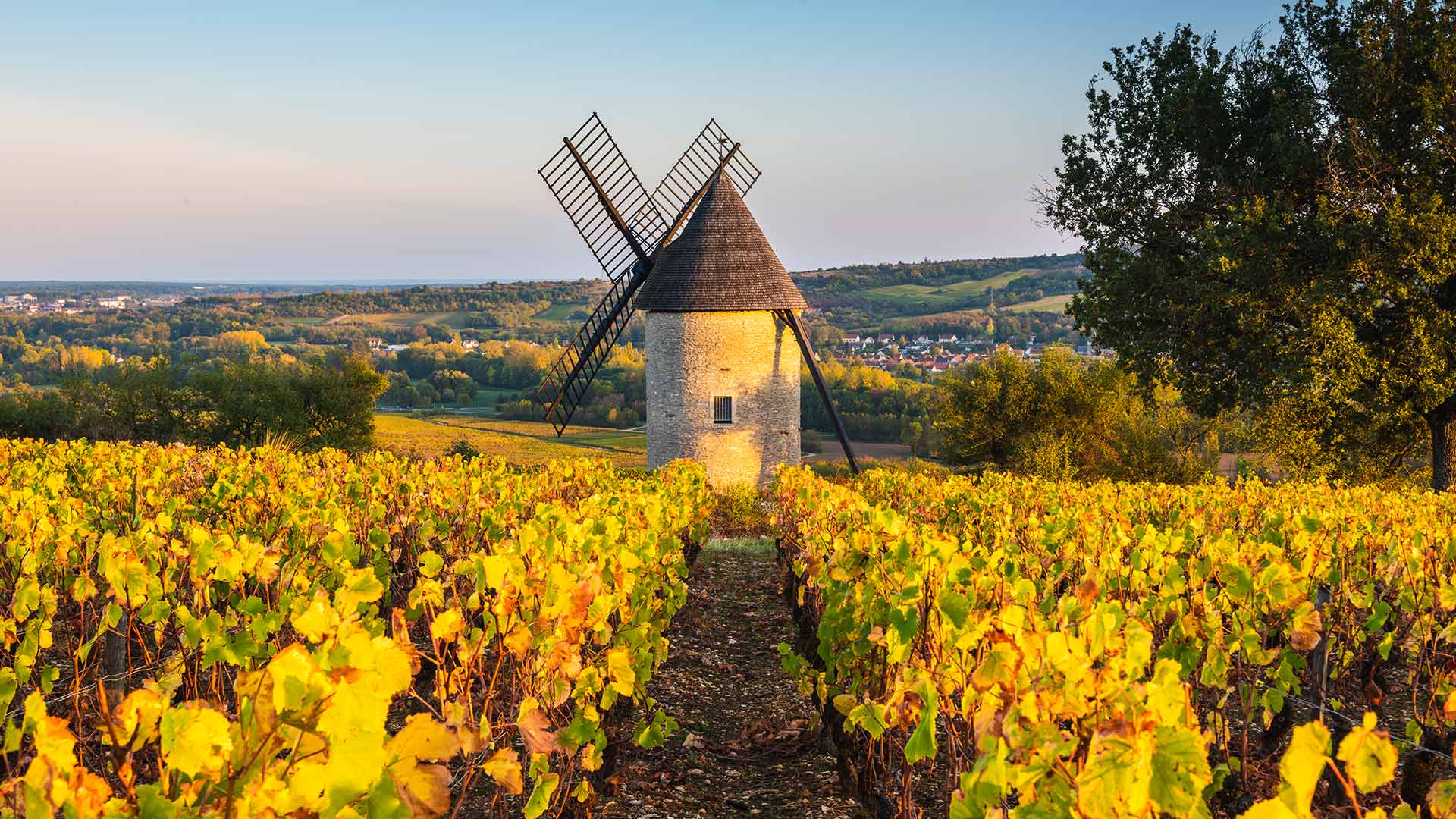 Weinregion Santenay, C&ocirc;te de Beaune, Burgund, Frankreich