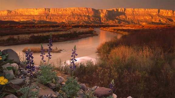 A remote oasis in the Chihuahuan Desert