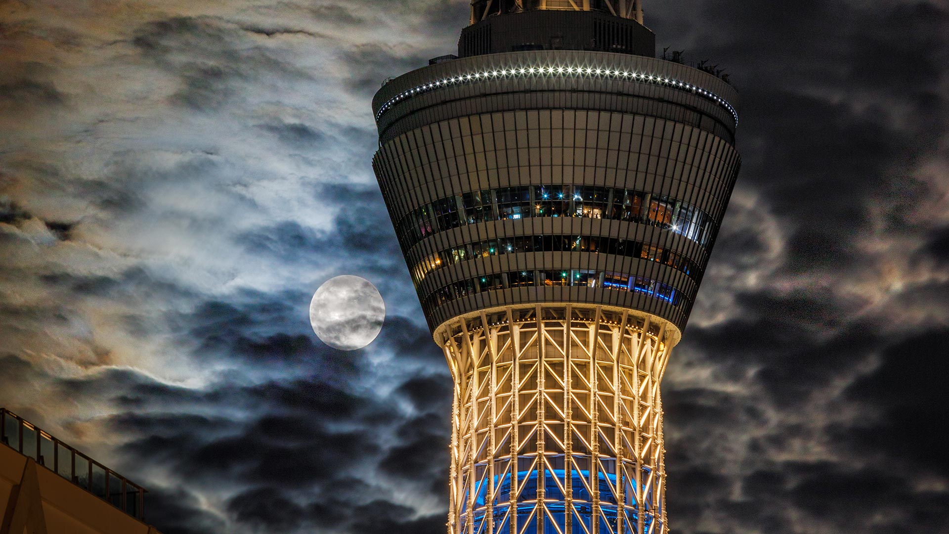 今日は十五夜