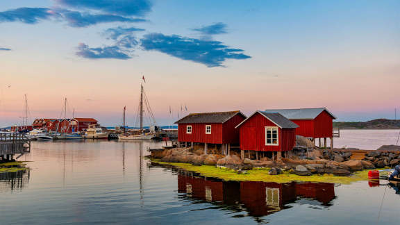 Surströmming Day