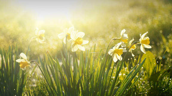 Spring equinox