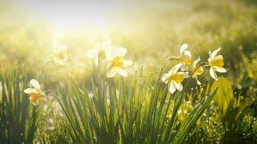 Spring equinox