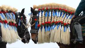 Traunsteiner Pferde beim St. Georgi-Ritt am Ostermontag, Deutschland