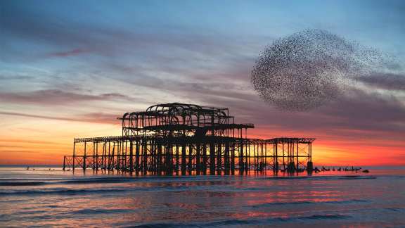Starling murmuration over the ruins of Brightons West Pier, England