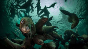 World Oceans Day