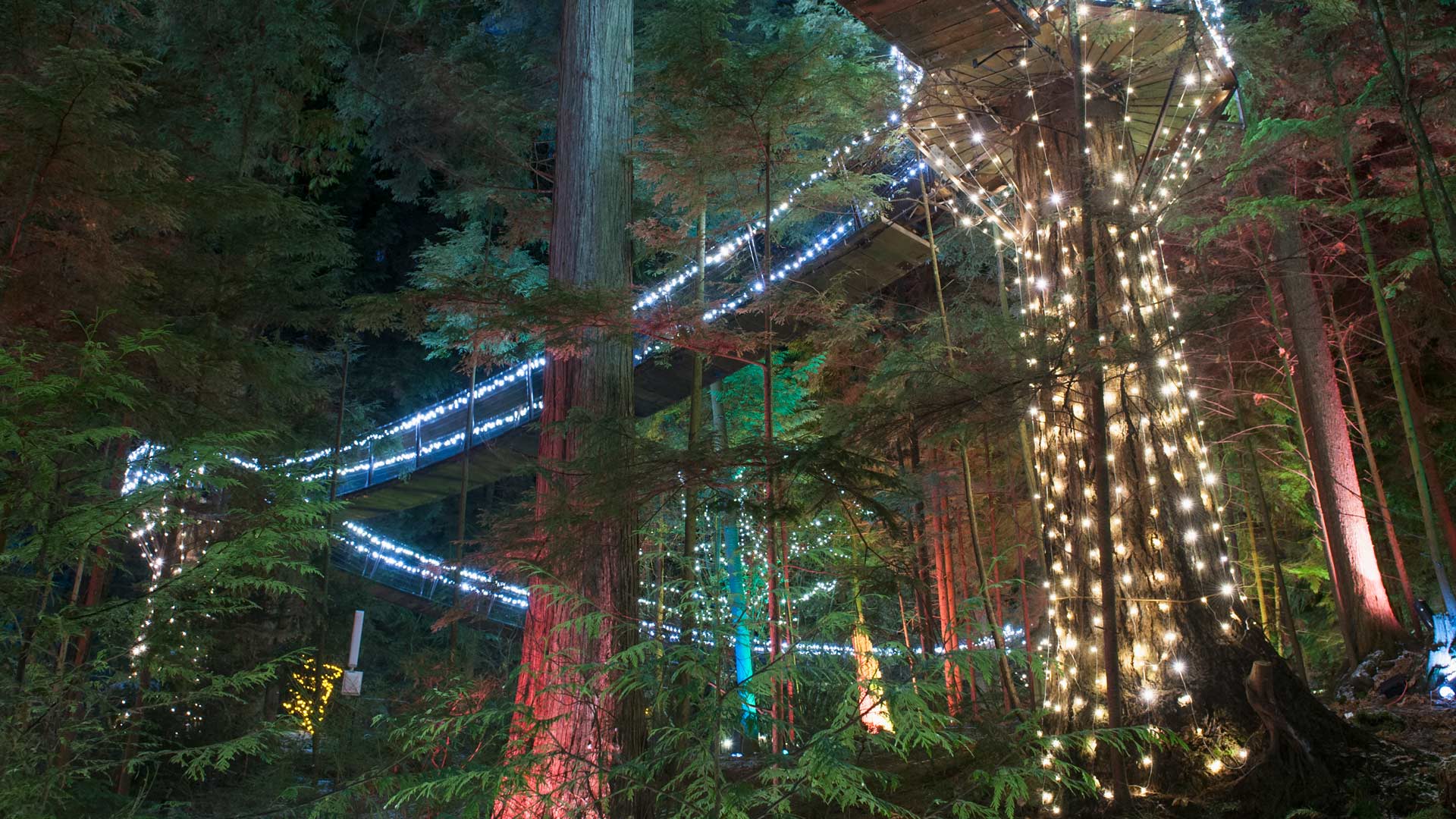 Capilano Suspension Bridge Park, Vancouver, British Columbia
