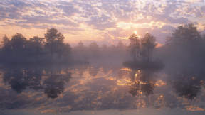 Knuthöjdsmossen nature reserve, Sweden