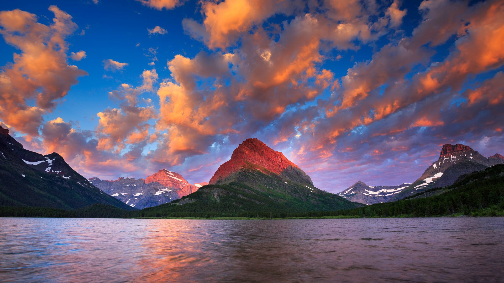 Bing HD Wallpaper Aug 25, 2024 National Park Service Founders Day