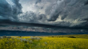 Storm rolls over the grasslands