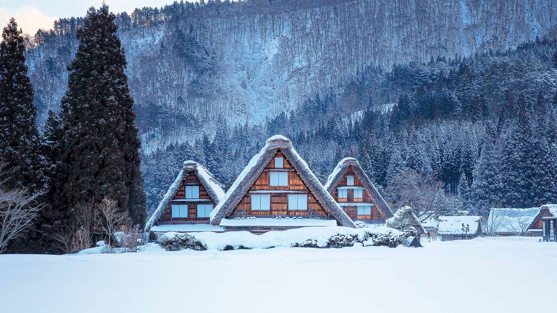 今日は二十四節気の「大雪」